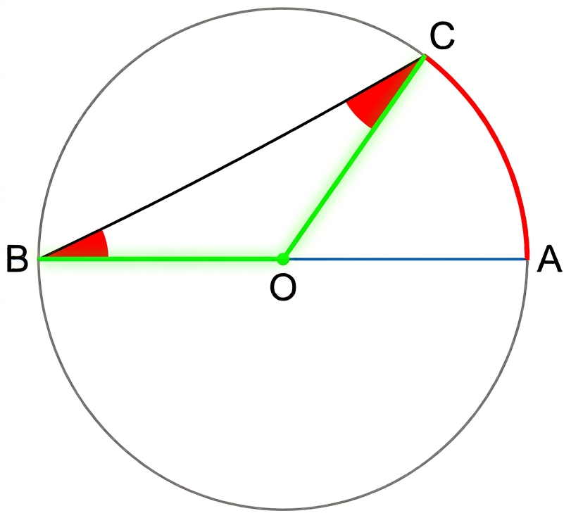 Triángulo BOC
